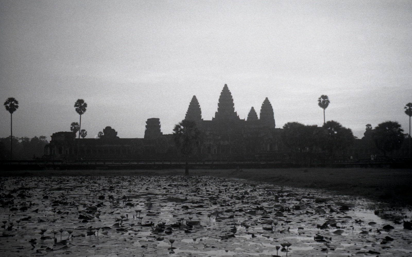 The Temples Of Angkor